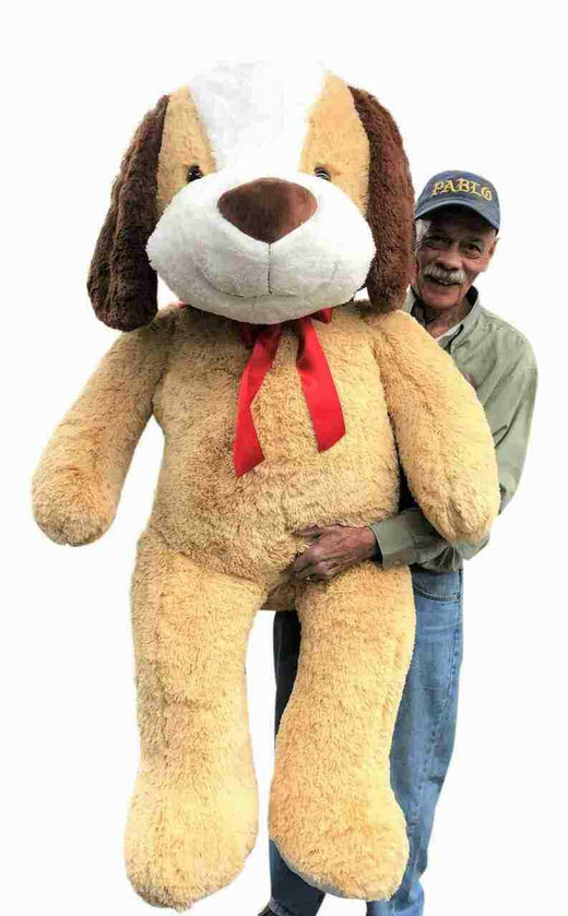 Pet