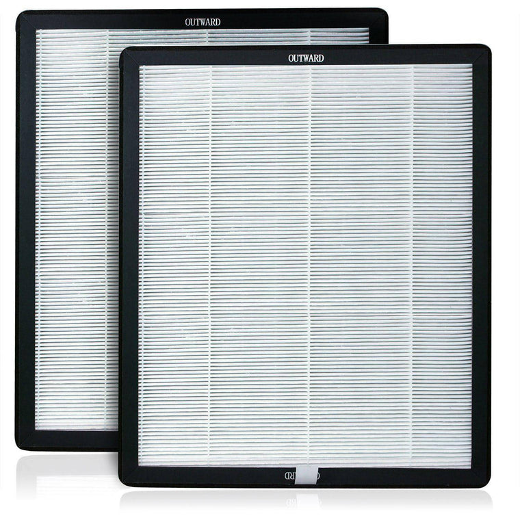 Advanced Pure Air Newport 9000 Replacement Filter, Combining HEPA and Carbon Filtration, 2-Pack